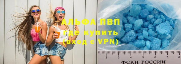 винт Абаза