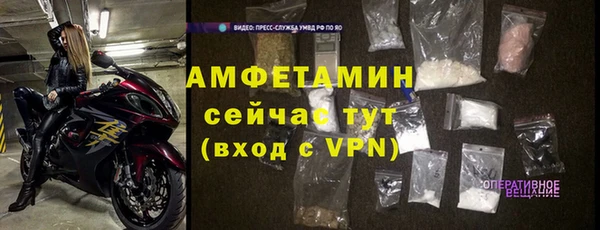 винт Абаза