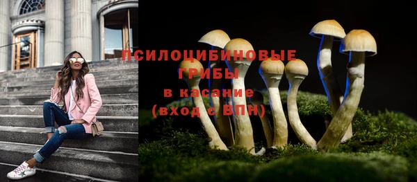 винт Абаза