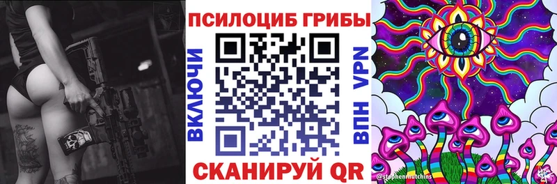 Псилоцибиновые грибы Psilocybe  Хасавюрт 