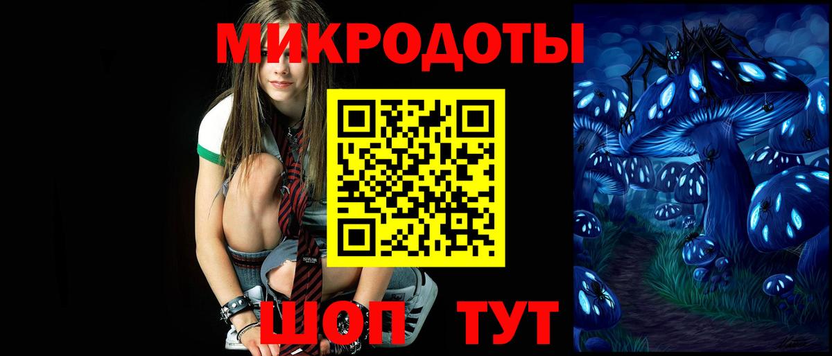 Псилоцибиновые грибы Cubensis Хасавюрт