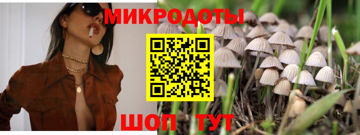 Галлюциногенные грибы мухоморы  Вход с VPN  Хасавюрт 