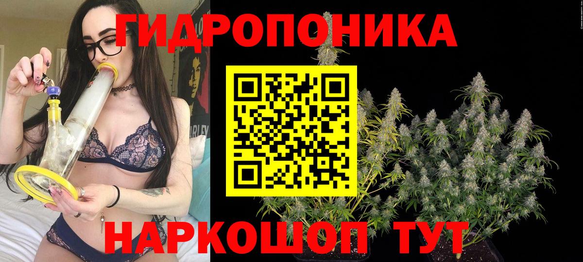 Шишки марихуана семена Хасавюрт